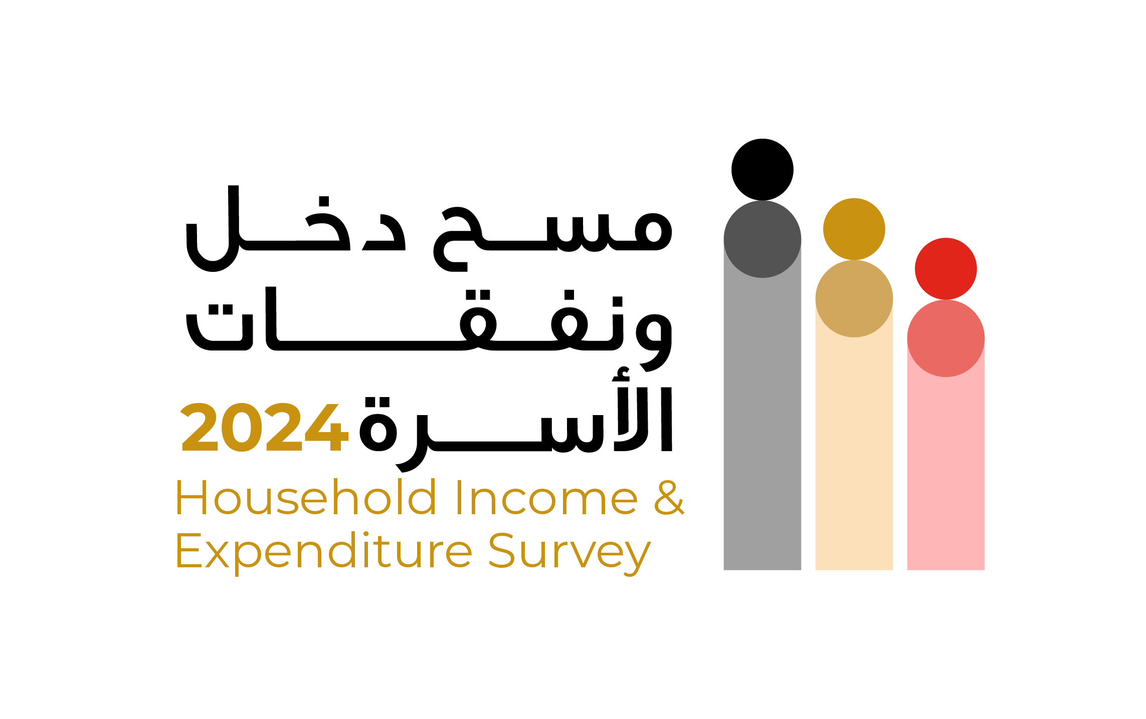 Household Income and Expenditure Survey