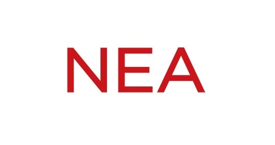المشروع الوطني للبنى المؤسسية لتقنية المعلومات والاتصالات (NEA)