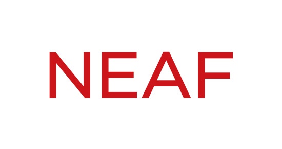 المشروع الوطني للبنى المؤسسية لتقنية المعلومات والاتصالات (NEAF)
